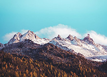 开云体育网页版登录入口-宁波男篮分享啦啦队舞蹈片段：啦啦队喊您来现场看“甬辽大战”啦