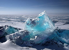 CBA全明星首周票选：徐杰南区票王 赵睿北区票王